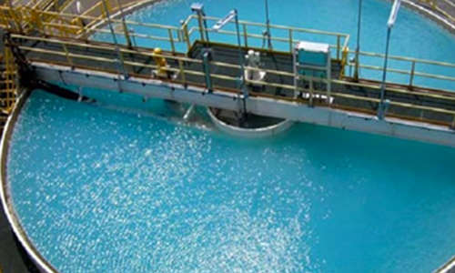 Dalton Toyota Patria