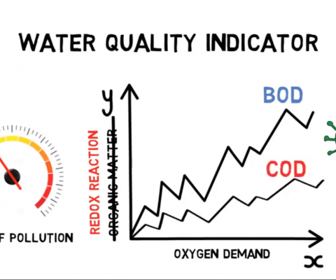 BOD (Biological Oxygen Demand) – The Water Quality Indicator