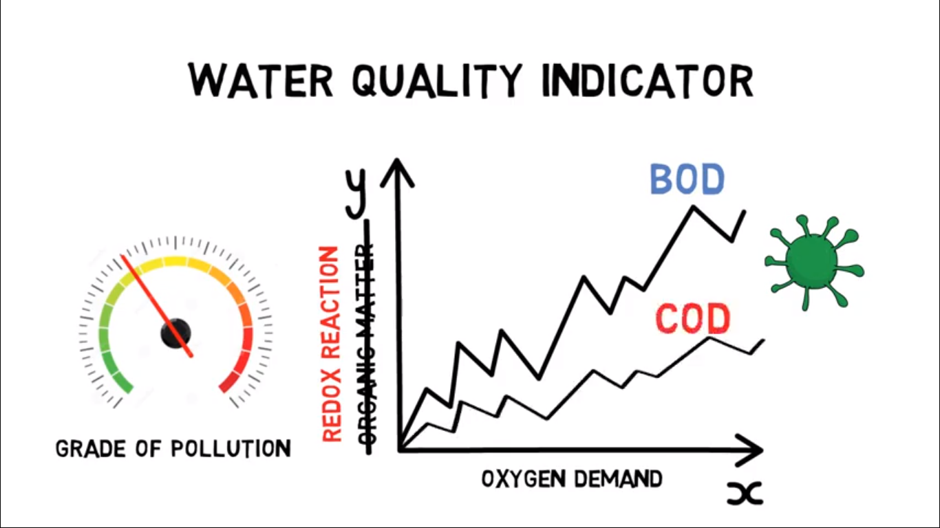 BOD (Biological Oxygen Demand) – The Water Quality Indicator